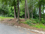 A roadside view of a grassy area with a slight incline leading up to a cluster of tall trees, with vegetation undergrowth and a glimpse of a building partially hidden by the trees in the background.