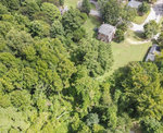 An aerial view of a leafy residential area with houses partially obscured by trees.