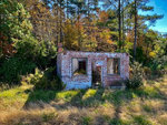A dilapidated brick building with missing windows, surrounded by overgrown foliage under a clear sky.