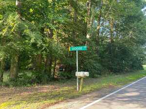 A street corner with a green street sign that reads "dockside ln" next to a rural road with mailbox and lush green trees in the background.