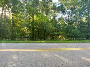 A two-lane road with yellow dividing lines running alongside a dense green forest under a bright, clear sky.