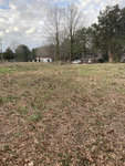 A field covered with dry leaves and sparse grass with trees and houses in the background under a cloudy sky.