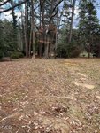 A wooded area with a ground covered in dry leaves and a visible dirt path among trees.