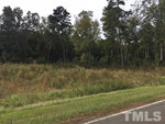 A roadside view of a grassy area with overgrown vegetation leading to a background of trees.