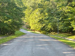 A shaded residential street flanked by green trees with sunlight filtering through the leaves at the end of the road.