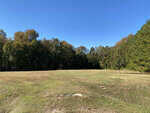 A clear day over a grassy field bordered by trees with autumn foliage under a blue sky.