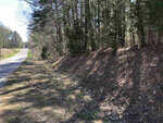 A country road lined with evergreen trees and a sloping, grassy embankment under a clear blue sky at 01 Island Creek Estate Road, Henderson NC.