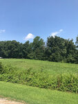 A sunny day with a clear blue sky over a lush green field bordered by a line of trees at 00 Strawberry Lane, Henderson NC.