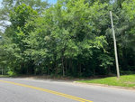 A roadside view in Henderson NC, with a double yellow line featuring a dense overgrowth of green trees and vegetation on a clear day.