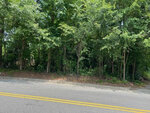A roadside view of dense green foliage and trees in a forested area at 853 Water Street, Henderson NC, with a double yellow line marking the road's edge.