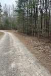 A gravel road curves through a wooded area with leafless trees and scattered underbrush in Lot 74 Puddle Stone Lane, Henderson NC. The environment appears dry and the sky partly cloudy.