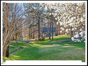 A serene landscape featuring a lush green lawn with blooming white trees and tall pines surrounding a distant small house under a clear blue sky.