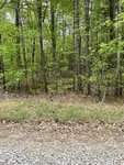 A dense, lush green forest with diverse trees and undergrowth next to a gravel path on Lot 77 Puddle Stone Lane, showcasing vibrant spring foliage and a serene, natural setting.