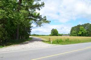 Paved road with a dirt path turning off into a grassy field. Trees line the left side, and a golden fence is at the field's edge. Blue sky with scattered clouds above.