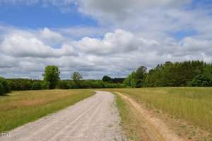 A gravel path winds through a lush green field under a partly cloudy sky. Trees line the horizon in the distance, and the landscape appears serene and expansive. The sun casts bright light, enhancing the green hues of the grass and foliage.
