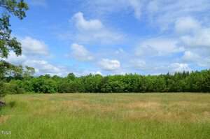 A vast, open meadow with tall grass under a partly cloudy blue sky. In the background, there is a lush treeline with a variety of green trees. The scene evokes a sense of tranquility and natural beauty.
