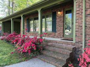 A brick house with a green porch features blooming pink azaleas along the front yard. The porch has columns, a rectangular window with green shutters, and a green door with a lit exterior light. Steps lead up to the door from a concrete path.