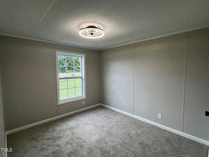 An empty room with beige walls and carpet, featuring a ceiling light fixture. A single rectangular window provides a view of a grassy area outside, allowing natural light to enter the room.