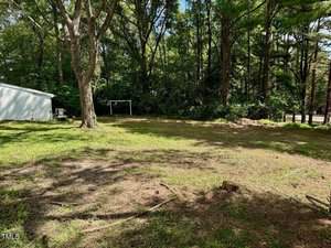 A backyard scene with patchy grass and shaded by several large trees. In the background, there is a white structure, possibly a shed, and a simple soccer goal post near a dense wooded area. Sunlight filters through the tree canopy creating dappled shadows.