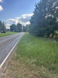 A rural road lined with tall grass and pine trees under a blue sky with scattered clouds. The scene is calm and green, with the road extending into the distance.