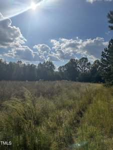 A sunlit meadow with tall grasses under a clear sky. The sun shines brightly, casting shadows on the ground. Fluffy clouds are scattered across the blue sky, and a line of trees borders the field in the background.