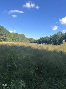 A grassy field with tall weeds stretches into the distance under a clear blue sky. Lush green trees line the edges of the field on both sides. A few fluffy white clouds are scattered in the sky.