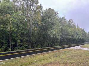 A wet, empty expanse known as 00 Tungsten Mine Road is bordered by dense green trees under a cloudy sky, with grass lining the shoulder.