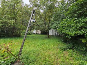 A grassy yard with lush green trees and bushes. A wooden pole with an electrical meter leans to the side. White structures are partially visible in the background, surrounded by dense vegetation. Overcast sky above.