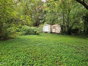 A small backyard with two white sheds surrounded by dense green foliage and grass. Trees with lush leaves form a canopy above, creating a serene natural setting.
