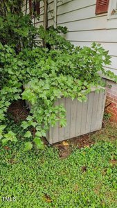 An air conditioning unit partially covered by overgrown green leaves and vines. It is situated outside a house with white siding and red shutters, surrounded by grass and foliage.