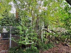 A lush garden with dense greenery, featuring a variety of shrubs, trees, and a chain-link fence. In the middle, there's a fountain surrounded by overgrown plants. A small garden shed is partially visible in the background.