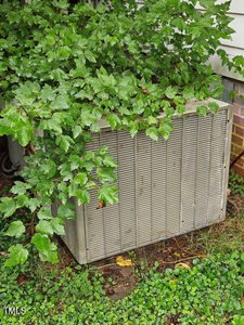 An outdoor air conditioning unit partially covered by overgrown green leaves and surrounded by grass near a house.