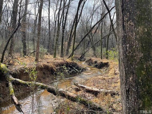A serene forest scene with a gentle creek winding through. Bare trees and fallen branches surround the water, with patches of sunlight breaking through, reflecting off the creek. The ground is covered in dry foliage and moss.