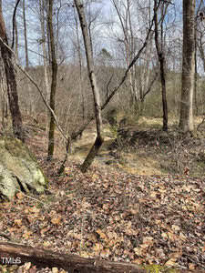 A small stream flows through a forest with bare trees and a covering of dry, fallen leaves. The scene is calm, with a rocky foreground and a glimpse of the distant horizon under a partly cloudy sky.