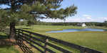 Experience the serene charm of Rougemont with a scenic view at 4708 Uzzle Road. A wooden fence frames the lush green pasture, while a tranquil pond and a distant white building add to the picturesque setting. A tree casts gentle shade on this sunny day under the clear blue sky.
