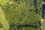 Aerial view of the densely wooded Lot 2 Lester Mcfarland Road with a yellow line outlining the property boundaries. The surrounding land near Oxford includes more trees and a narrow road on one side. Text in the corner reads, "Property lines are estimated.