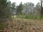 A weathered mobile home on 7059 Cornwall Road is partially obscured by overgrown grass and trees in a dense Oxford forest setting. The scene is surrounded by tall pines and leafless trees, with a cloudy sky overhead.