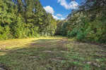 A grassy clearing bordered by dense trees under a bright blue sky with scattered clouds, reminiscent of an Oxford landscape. Sunlight filters through the foliage along Bob Daniel (Lot 2) Road, creating patches of light on the ground.