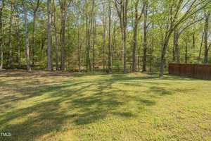 A sunlit backyard with a grassy lawn bordered by a wooden fence on the right. Tall trees with green foliage fill the background, creating a serene woodland view.