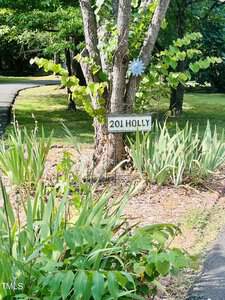A tree with a "201 HOLLY" sign in front of it, surrounded by green foliage and plants. A paved pathway curves in the background under shaded greenery.