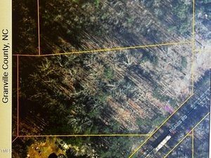 Aerial view of a wooded area in Granville County, NC. Yellow lines outline property boundaries. Reams Road runs diagonally across the bottom right, with trees casting long shadows on the land.