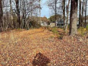 A leaf-covered yard with a metal swing set stands among bare trees. Houses and a basketball hoop are visible in the background. The scene conveys a serene autumnal atmosphere.
