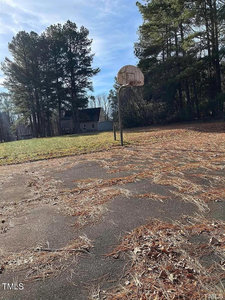 An old basketball hoop stands on a deserted outdoor court covered with fallen pine needles. Tall trees and a small house are visible in the background under a clear blue sky.