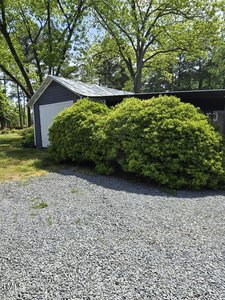 A small shed with a white door is partially hidden by lush, green bushes. The area around it is covered in gravel, and tall trees with green leaves provide shade in the background.