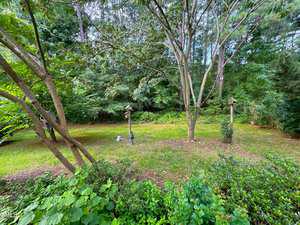 A serene backyard with tall trees and lush green grass, featuring two bird feeders mounted on wooden poles. A small fountain sits near the center, surrounded by dense foliage and a variety of shrubs.