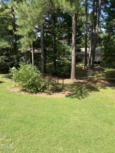 A lush green backyard with tall pine trees, a small garden area, and scattered bushes. A wooden fence runs through the scene, and a house is partially visible in the background through the trees. Bright sunlight casts shadows on the grass.