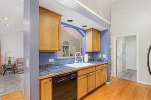 Modern kitchen with wooden cabinets, blue walls, and a black dishwasher. A white sink is centered along a granite countertop. Through an arched opening, a living area with gray carpet and a beige couch is visible. Bright natural light fills the space.
