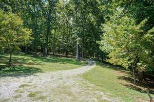 A winding gravel path curves through a lush, green forest with tall trees. Sunlight filters through the leaves, casting dappled shadows on the ground. The scene is serene and inviting, suggesting a peaceful walk in nature.