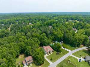 Aerial view of a suburban area surrounded by dense green forest. A few houses with lawns and driveways are visible among the trees. Roads connect the neighborhood, and the vast forest stretches into the distance under a clear sky.