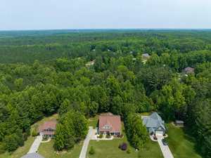 Aerial view of a suburban neighborhood surrounded by dense green forest. Three houses with driveways are visible, each with a lawn and trees. A vast wooded area extends into the distance under a clear sky.